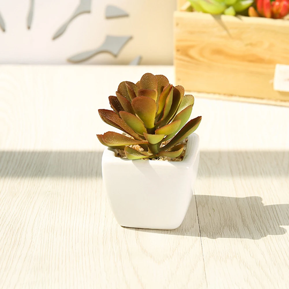 2019 искусственный бонсай искусственное суккулентное растение кактус в горшке для декора комнаты не выцветает поддельные растения с