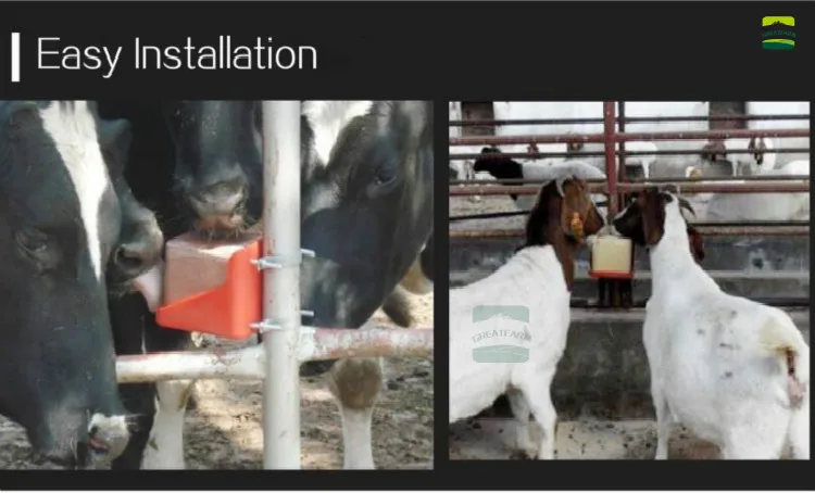 TIM截图20190921110654_meitu_1