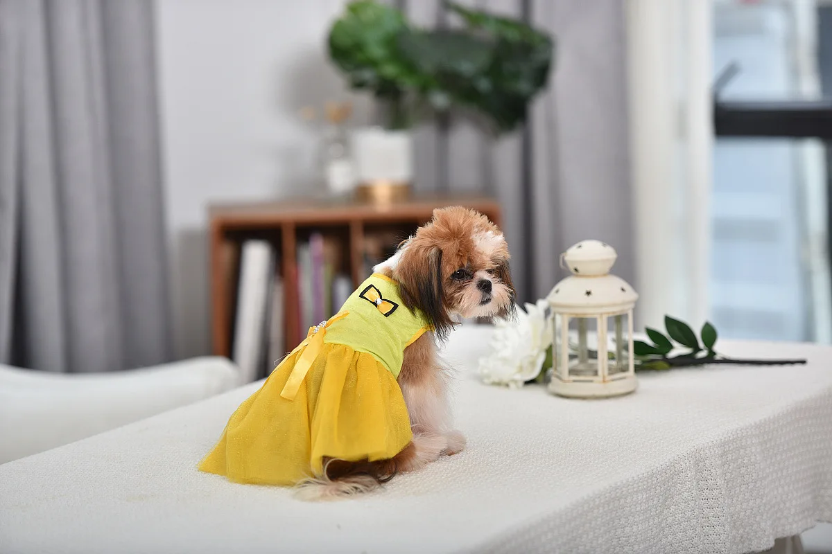 优宝龙宠物衣服 (166).jpg