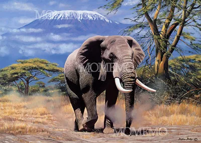 Amboseli слон, 1000 деталей, головоломка, мини 1000 деталей, бумажная головоломка для взрослых, пазлы с животными, игрушки для подростков, Детские Обучающие подарки - Цвет: mini paper puzzle