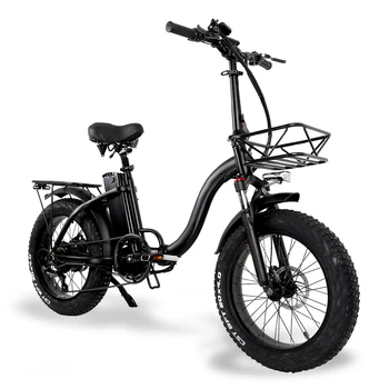 Powerful 750W 48V 12.8ah Electric Bike Adult Bicycle Snow Mountain 20 Inch Folding Fat Tyre Ebike For Man Women 1