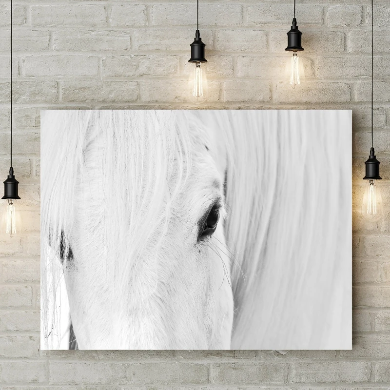 С принтом лошади Белая лошадь Wall Art Холст Картина без рамки Черный и белый