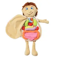 Human Body Model Anatomy Doll Soft Doll Toy Model Anatomy Anatomical Internal Organs Doll Educational Soft Toy 1