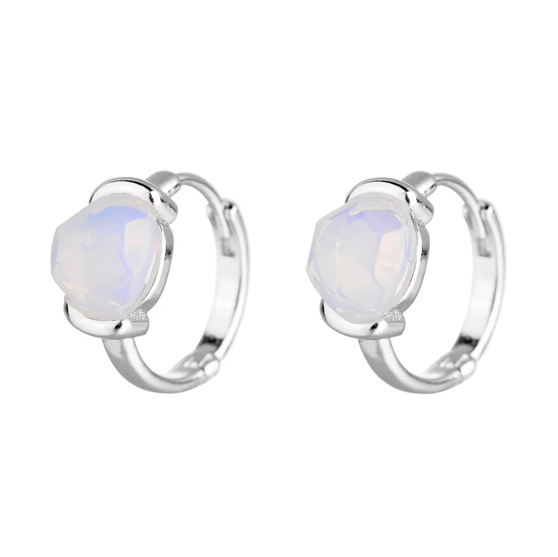 White Gold Color F. I. N. S, двухцветные простые серьги, модное ювелирное изделие, два цвета, медный натуральный камень, лабрадорит, маленькие обручи, серьги для женщин - Окраска металла: White Gold Color