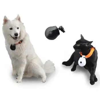 

Mini Portable Camera Simplicity Portable Practical Durable Pet Dog Cat Collar Anti-lost Video Recorder with LCD Screen
