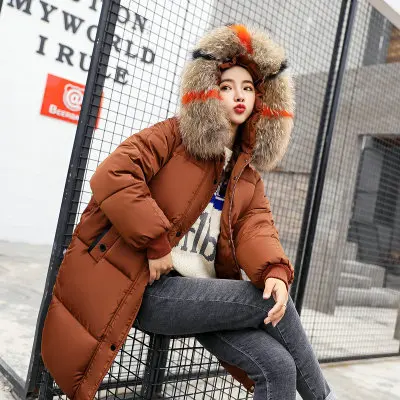 

Loose Version of Color Fur Collar Cotton-padded Clothes Photo Shoot Winter New Style Contrast Color down Cotton Coat Large Size
