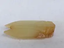 

YIZHU CULTUER ART Collection Old China Xinjiang Jade Carving Cicada Statue Pendant Decoration Gift