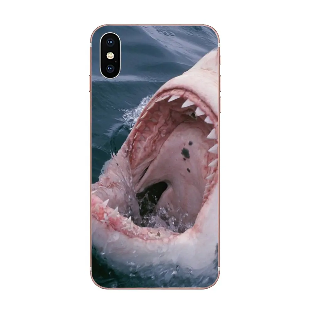 Killer Whale Orca для samsung Galaxy Note 5 8 9 S3 S4 S5 S6 S7 S8 S9 S10 5G mini Edge Plus Lite красивые чехлы для телефонов - Цвет: as picture