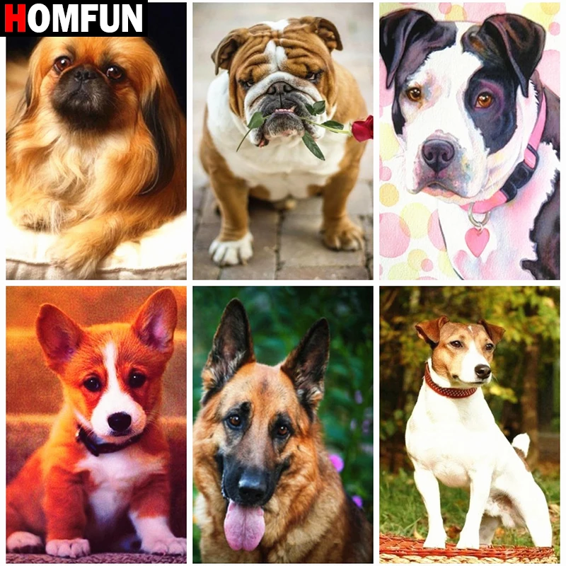 Алмазная живопись HOMFUN полноразмерная/круглая вышивка с узором животное собака 5D