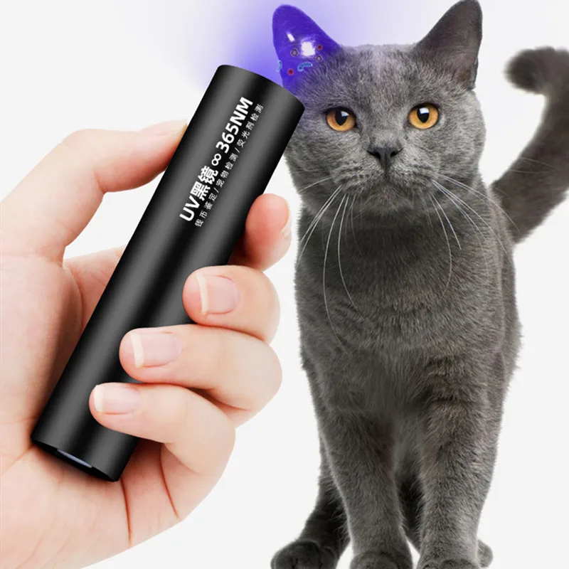 Linterna retroiluminación UV de luz negra, Detector de orina de 365nm para perros, gatos y mascotas, manchas de orina y polvo seco, para alfombras y suelos, 1 unidad