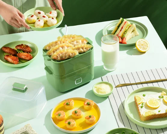 Automatic power-off multi-functional household dormitory breakfast small egg steamer J03