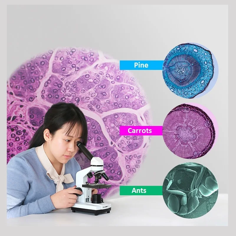 4pins Electric Handle Brake Caliper Parking Servo