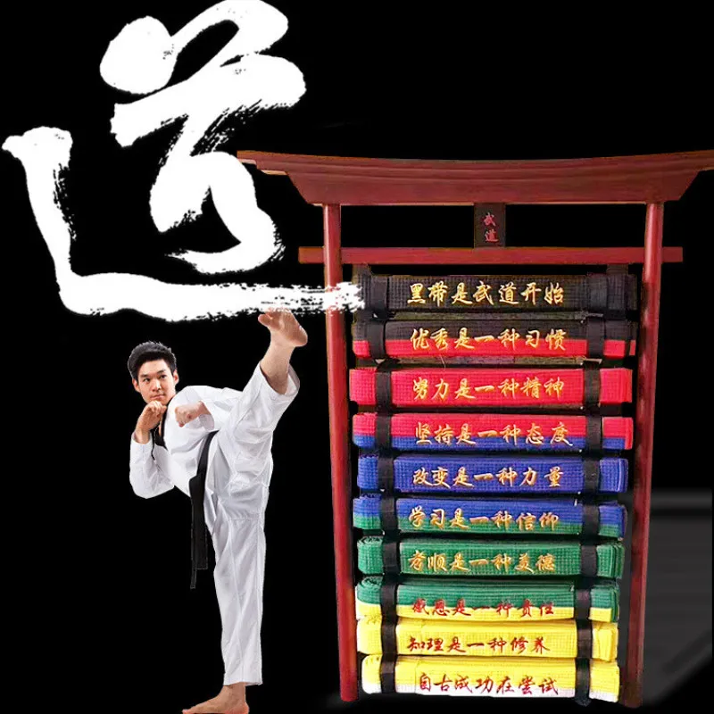 10 Level Martial Arts Belt Display Wall Rack Holder for Karate Tae Kwon Do Belts 