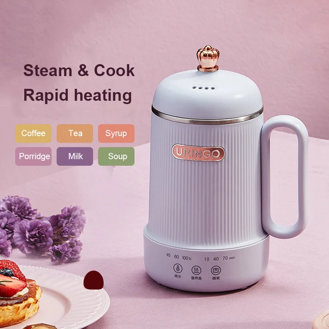 Portable 1 Cup Electric Kettle For Travel Multifunction Thermal Insulation  Health Pot 800ML Stainless Steel Porridge Soup Cooker - AliExpress