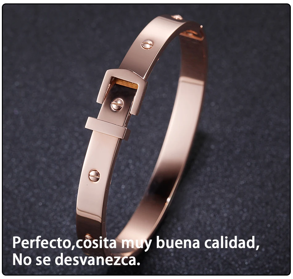 Bangles Bracelet Stainless Steel Femme (7)