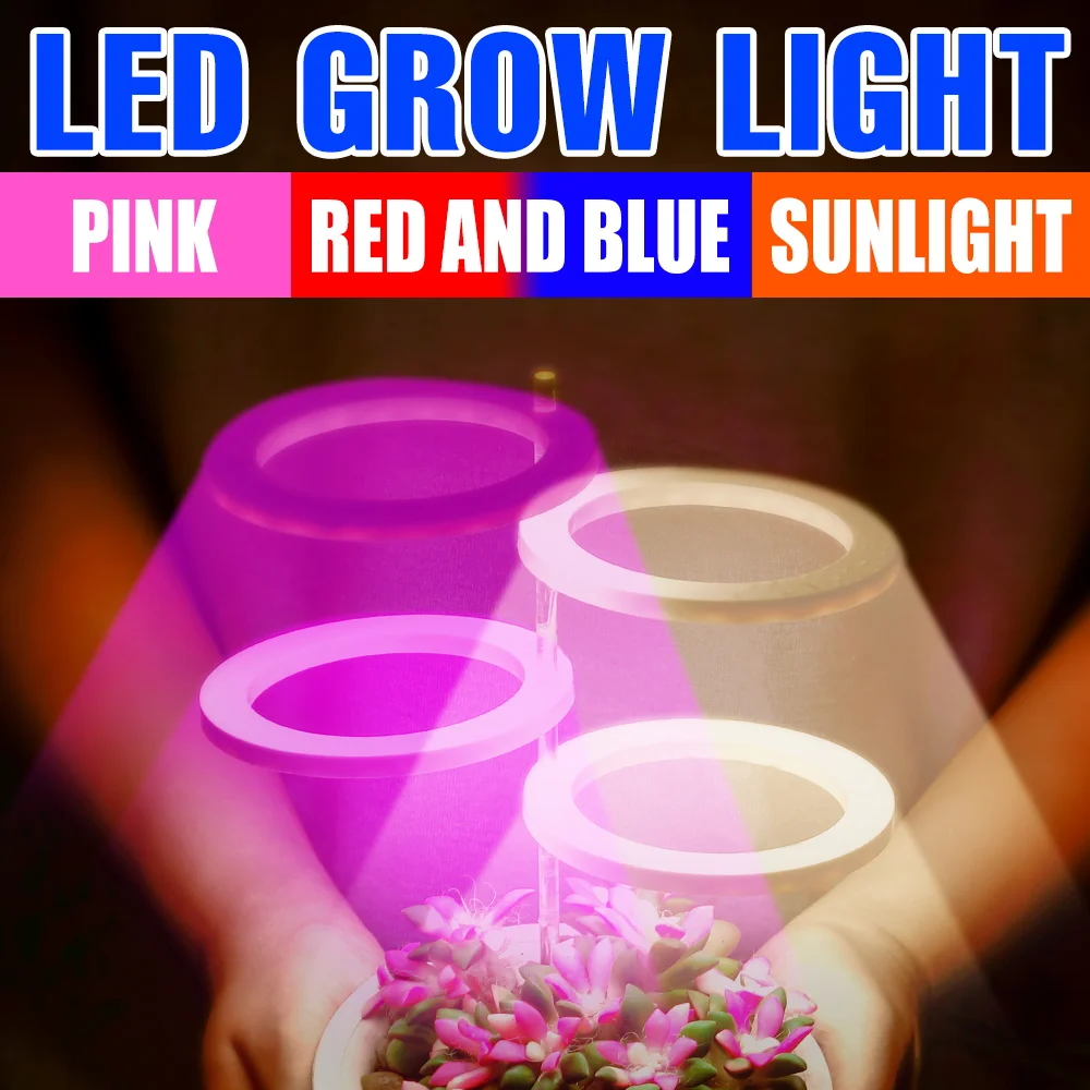 Led Full Spectrum Plant Grow Light Usb Hydroponics Phyto Lamp 5V Grow Bulb 1 2 3 4Head Led Serra Semi Fiore Luce 2835