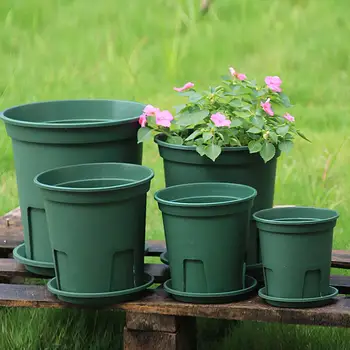 

Wholesale Gallon Flower Pot Green Plants Vase Home Decoration Fairy Garden Ornaments Top Quality Plastics Vases Flowerpots Decor