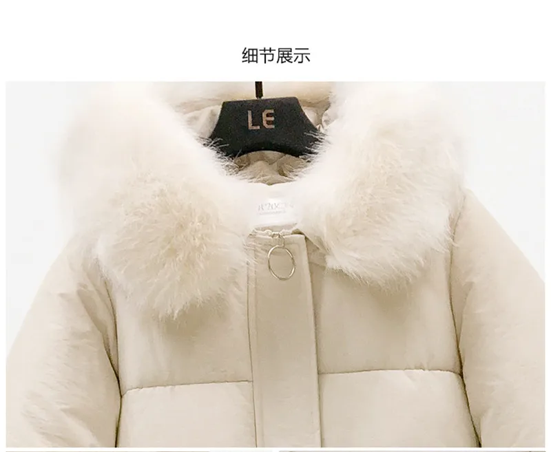 11377746655_822615558