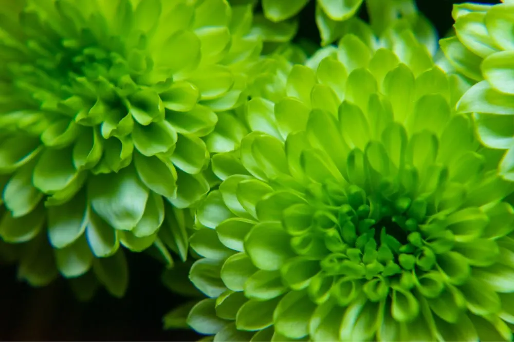 ca74aa27d6d96995cd35c0138a703977_U7c1f56896ddc450c9e993c1c3c9c29d3L