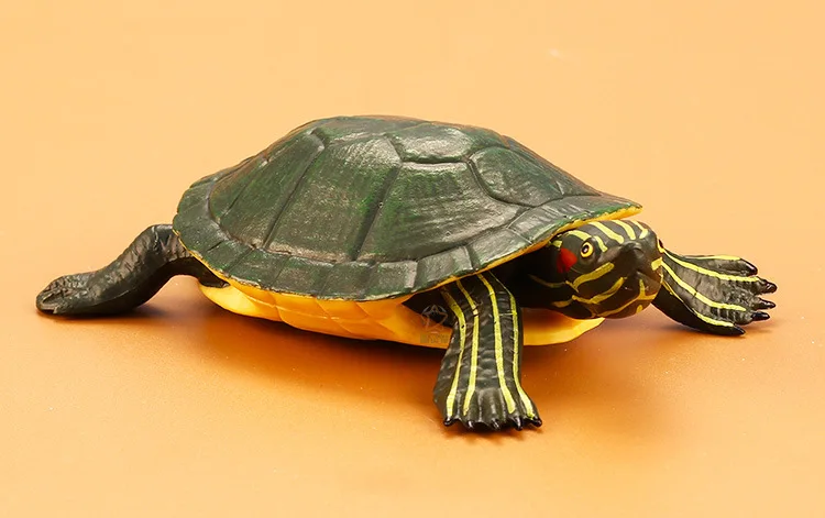  Boutique Solid Model Toy Animals Brazilian Turtle Wild Turtle Garage Kit Children Early Educational - 4000268082737