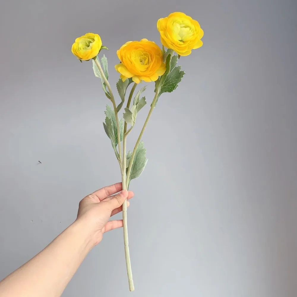 6dba96f415fd04481cce02696a270cb