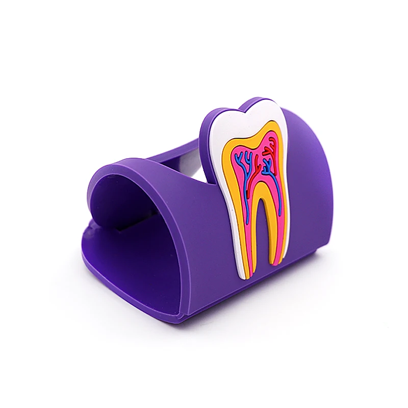 1 шт. стоматологическая клиника зубная карта стенд Стоматологическая карточка держатель красочные резиновые Зубы Молярная форма телефон карта имя хранения - Цвет: purple