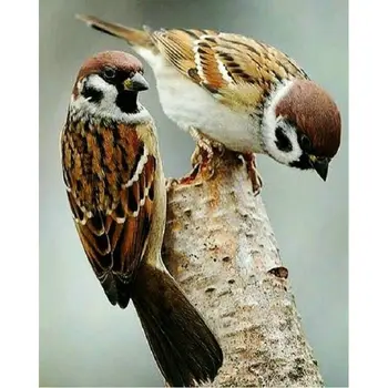 

5D DIY full Square drill Diamond painting Cross stitch Animal sparrow Rhinestone diamond embroidery Mosaic home decor gift