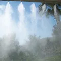 VigorMist Store