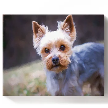 

Animal Cute Puppy Oil Painting Paint by Numbers on Canvas 30X40CM DIY Paint by Numbers Living Room Decoration Gift