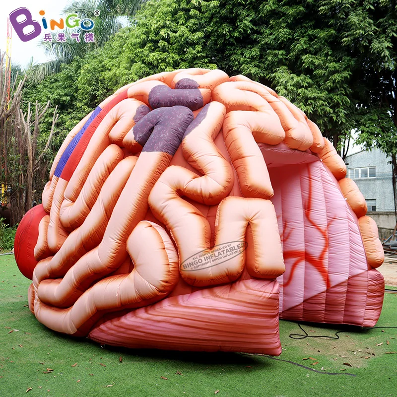Customized 5.1x4.5x3.6 Meters Inflatable Brain Tunnel Tent For Education / Blow Up Inflated Brain Balloon - BG-H0040 4