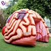 Customized 5.1x4.5x3.6 Meters Inflatable Brain Tunnel Tent For Education / Blow Up Inflated Brain Balloon - BG-H0040 4
