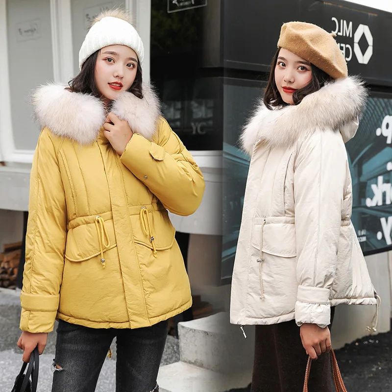 

Cotton Coat Women's Short 2019 Winter New Style Korean-style Waist Hugging Large Fur Collar Cotton-padded Clothes Thick Cotton-p