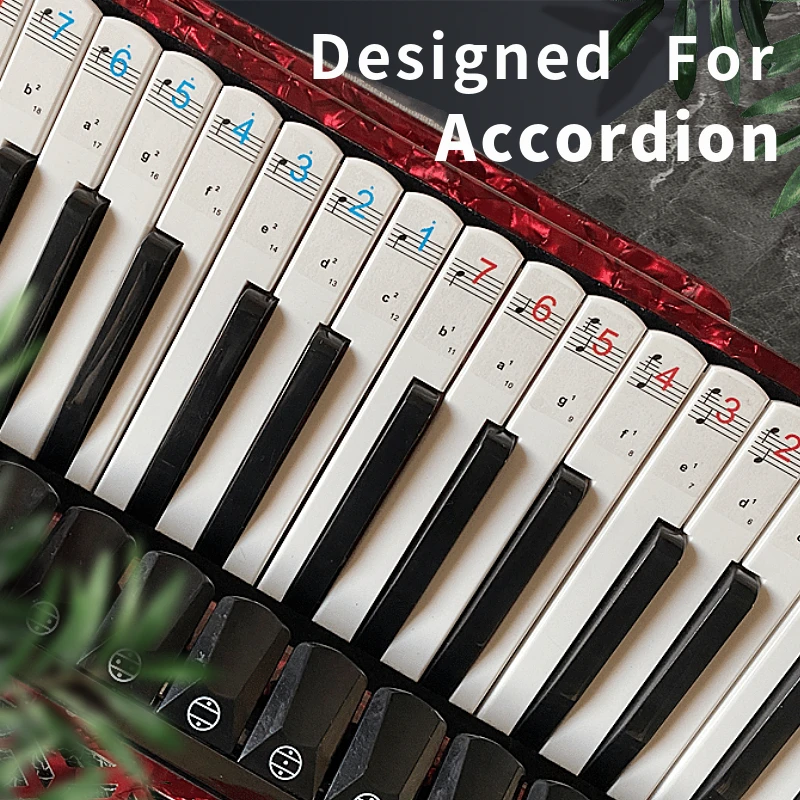 Accordion Keyboard Bayan Stickers,Numbered Musical Notation And Staff, Novice Beginner's Introduction, Easy To Clean No Damage