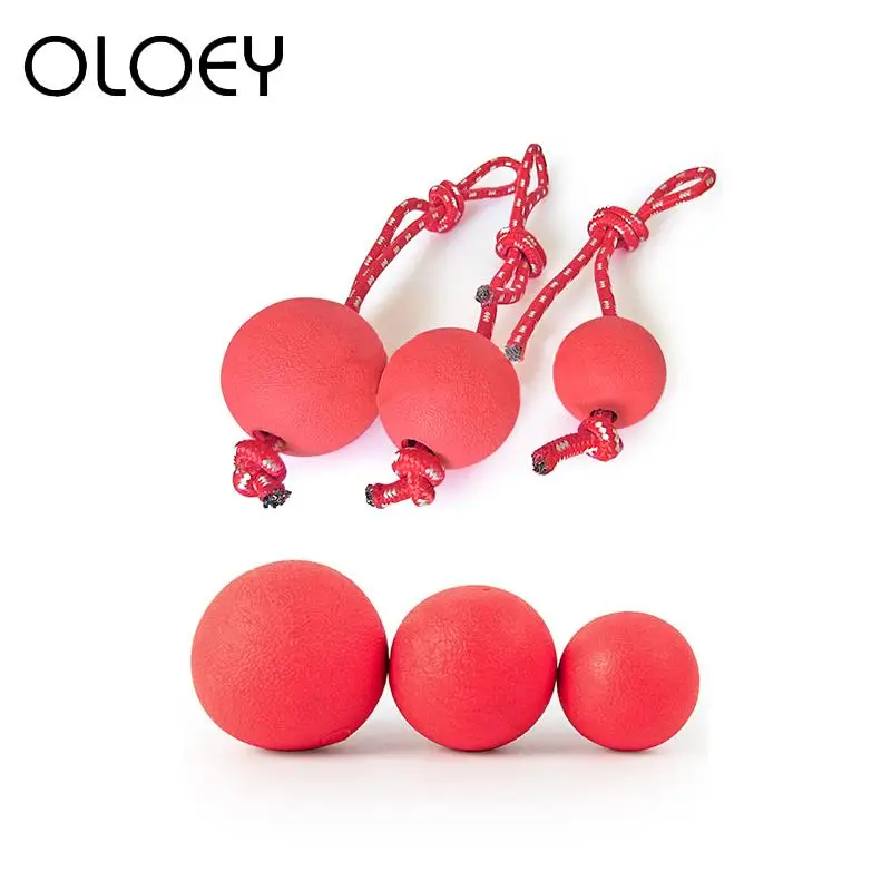 

1PC Pet Dog Toy Ball Durable Bouncy Biting Resistance Molar Chew Ball for Pet Dog Cat Training Interactive Toys Supplies