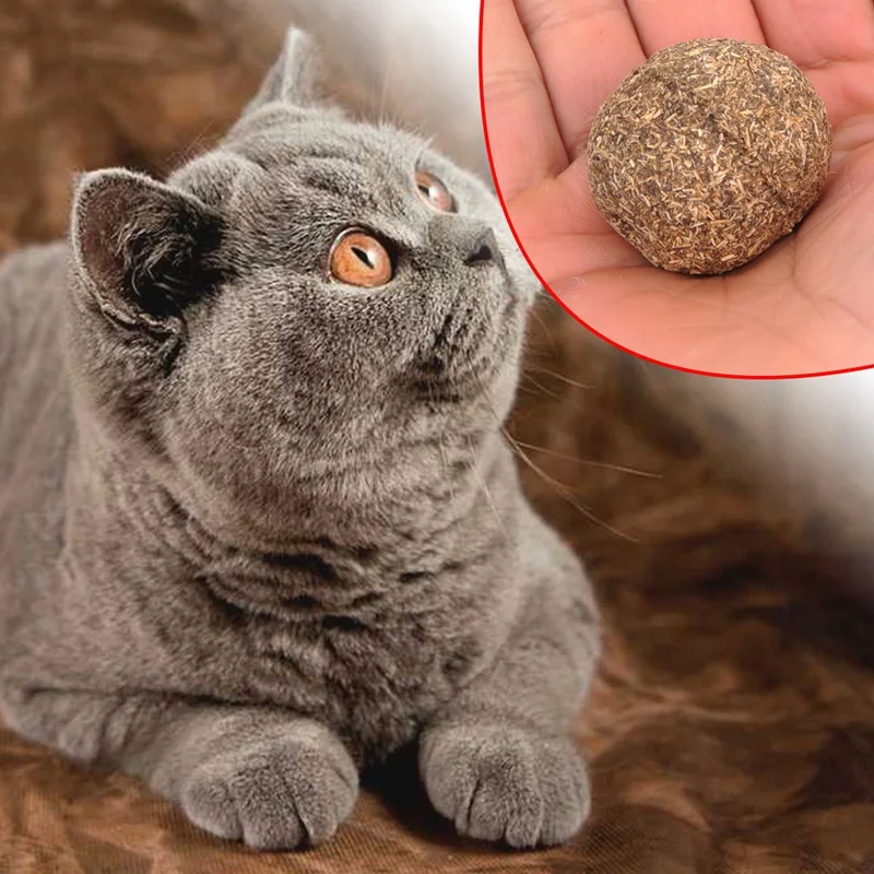 Модные-игрушки для кошек Catnip мята мяч кошачья мята мяч игрушки для домашних животных игрушка для домашних животных кошка одолжение