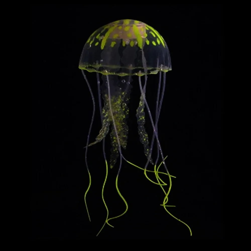 374997_no-logo_374997-3-04-g