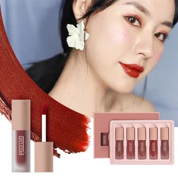 

Newly 5 Pcs Matte Lipgloss Set Moisturizing Lip Tint Velvet Liquid Lipstick Makeups Kit CTN88