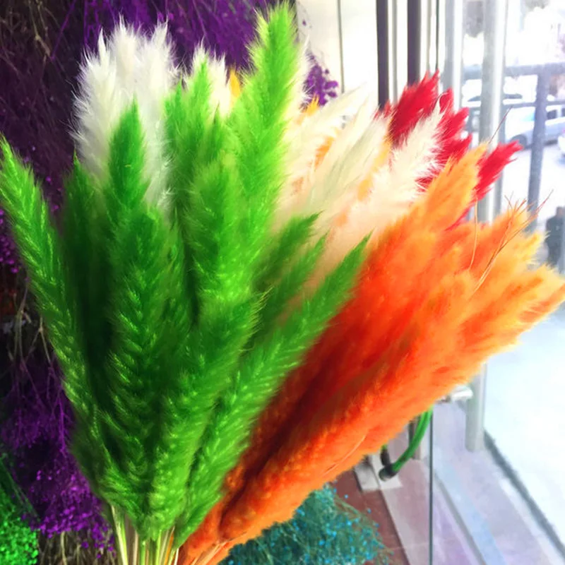 

10Pcs Bulrush Natural Reed Dried Small Pampas Grass Phragmites Communis Wedding Flower Bunch Home Decoration