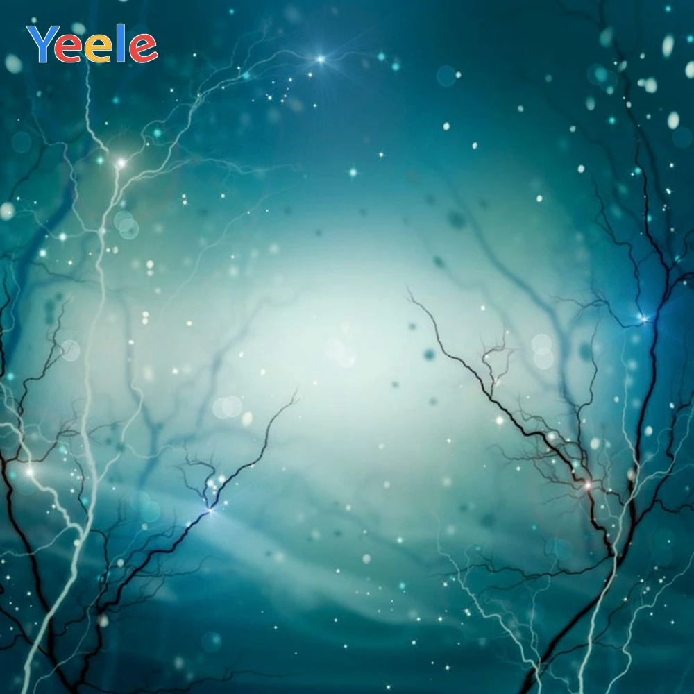 

Yeele Christmas Backdrop Winter Branch Bokeh Newborn Baby Portrait Photography Background For Photo Studio Photocall Photophone