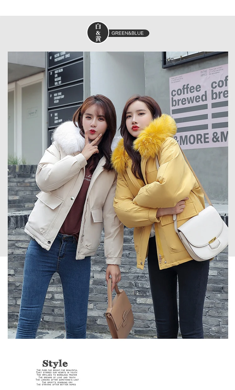 Photo Shoot Autumn And Winter New Style down Jacket Cotton-padded Clothes Women's Fashion Best Friend-Cotton-padded Clothes