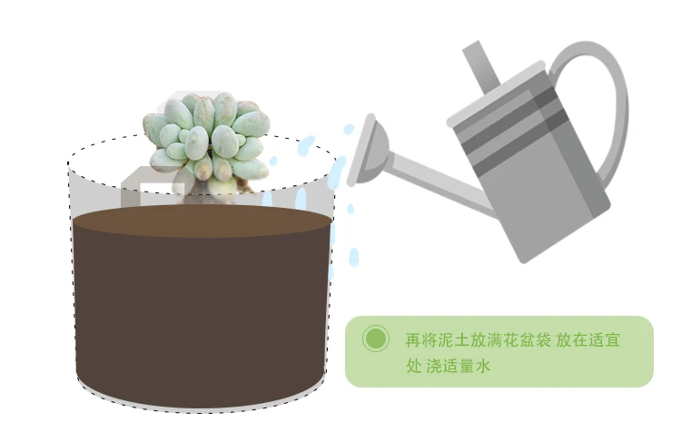 1_08.gif