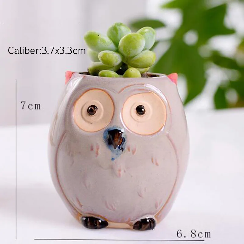 6 Pcs-set Mini Owl Flowerpot Plant Flower Pot Home Office Decor Planter Succulent Cactus Bonsai Plant Holder Garden decoration (8)