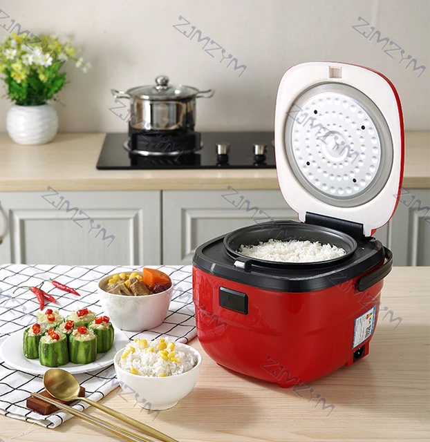 BRUNO Mini Retro Rice Cooker Small 2 Person Dormitory Small Rice Cooker  Multifunctional Household Rice Cooker - AliExpress