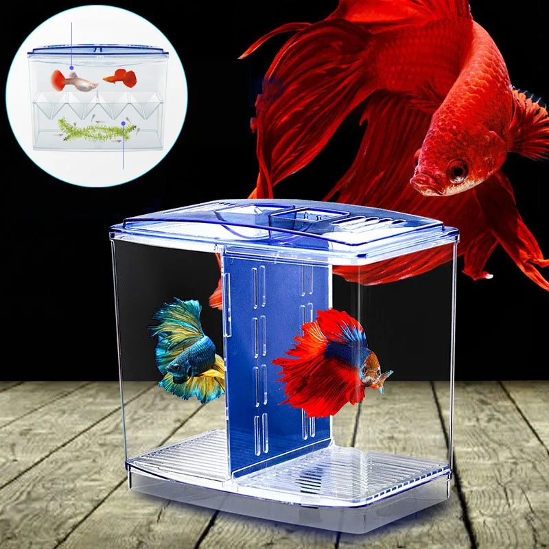 Acrylic Fish Tank Incubator | Acrylic Fish Breeding Box - - Aliexpress