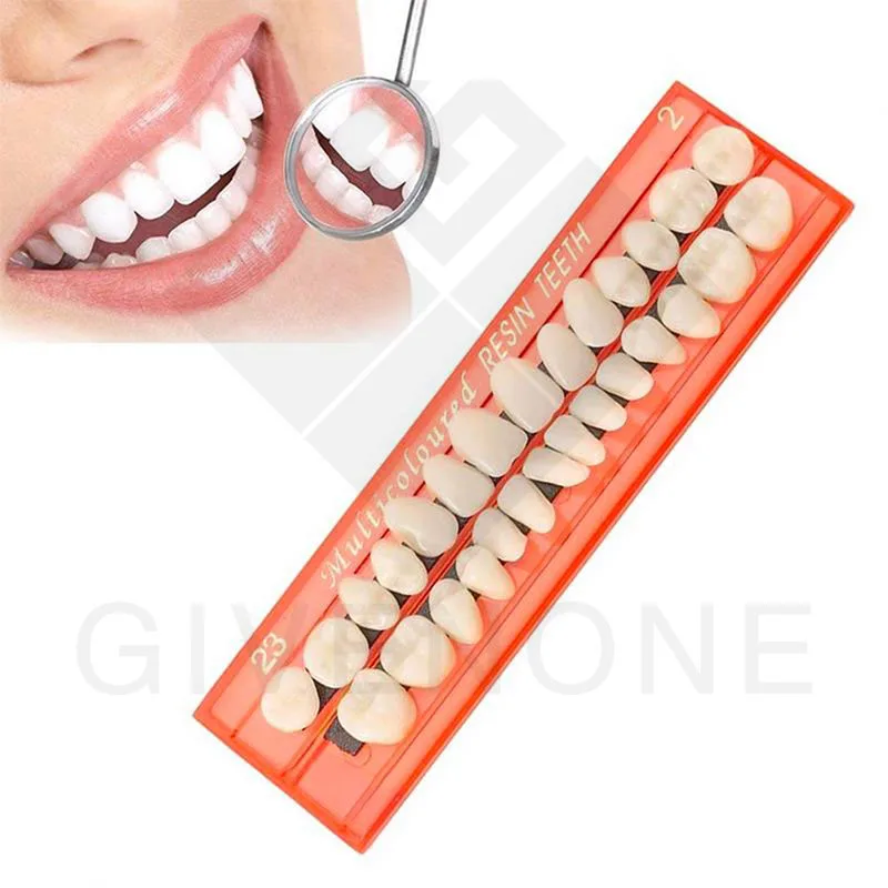 

10/20Pcs Profession Dental Material Plastic Teeth Teaching Model Dedicated Teeth Dental Material Useful Teeth Care Tool