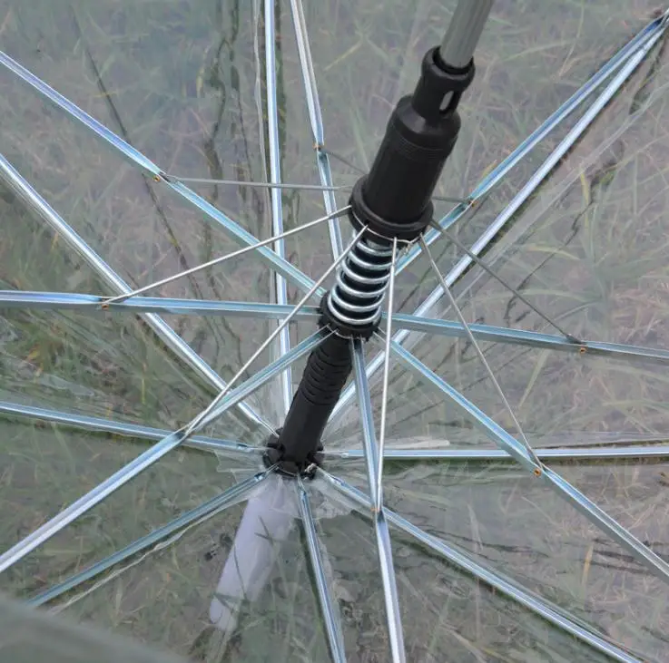 HTB1Z91nbsnrK1RjSspkq6yuvXXa7