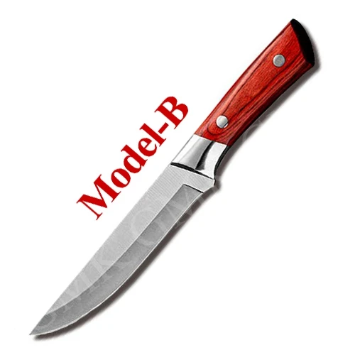 Model B