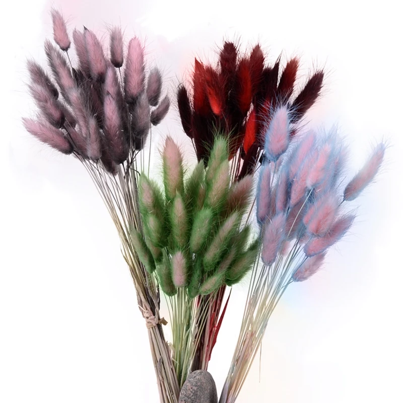 30 шт., градиентный букет из натуральных сушеных цветов lagunus Ovatus, сделай сам, для свадьбы, дома, Рождества, украшения, кролик, хвост, трава, настоящие цветы
