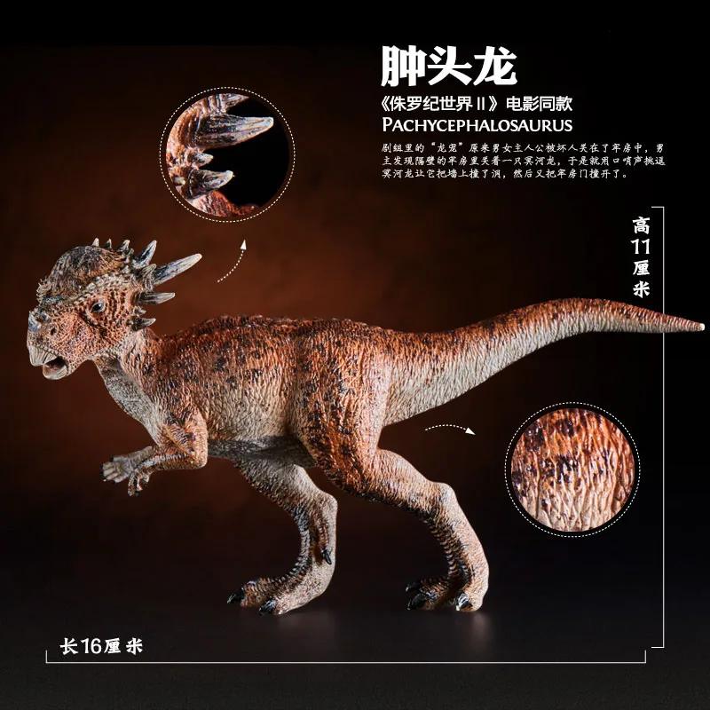 

Модель динозавра Юрского периода, модель тоypachycephalosaurus, коллекционные настольные украшения, детская игрушка для раннего развития, подарок