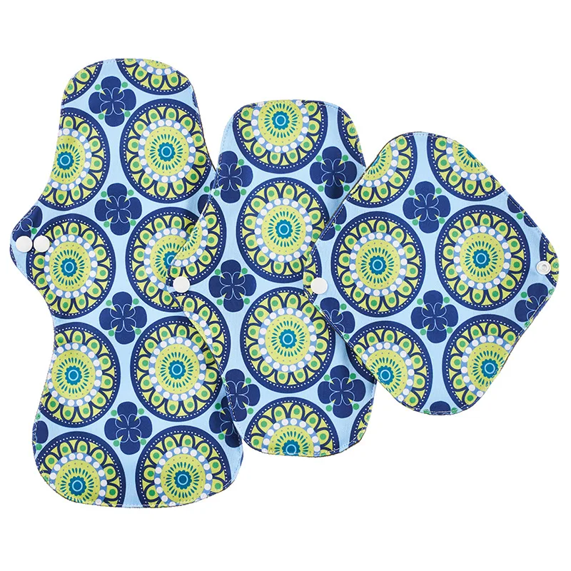 18319216312_2025671122